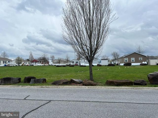 a view of a big house with a big yard plants and trees