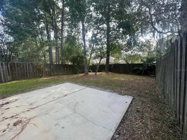 a view of a yard with plants and a large tree