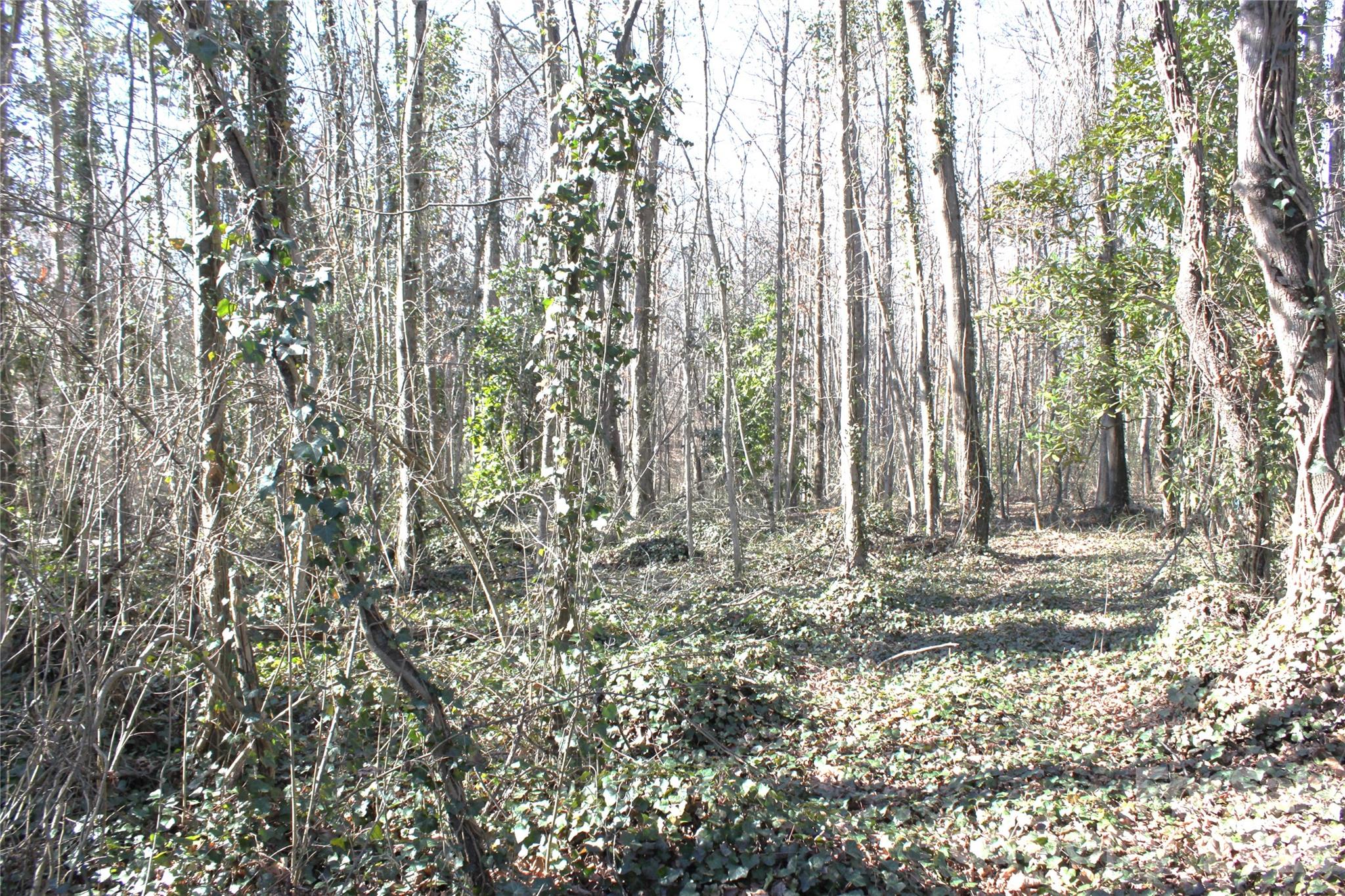 207 3rd Avenue Northwest Conover, NC 28613 - Photo 42 of 45