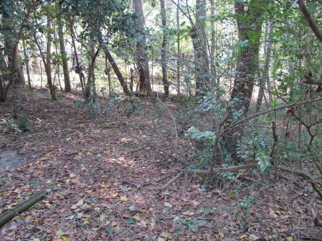 2128 Bullocks Run Road Tallahassee, FL 32303 - Photo 9 of 16 Gallery Image 9