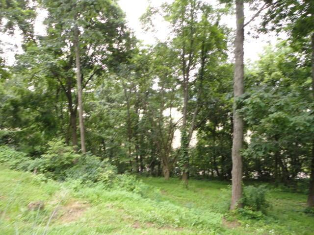 10395 Raiders Road Nashport, OH 43830 - Photo 17 of 17