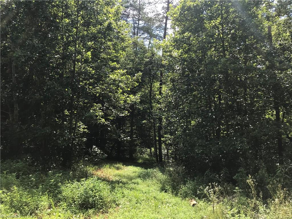 1012 Precinct Road Pilot Mountain, NC 27041 - Photo 11 of 27 Gallery Image 11