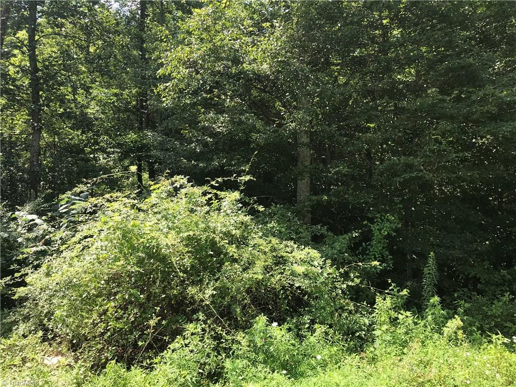 1012 Precinct Road Pilot Mountain, NC 27041 - Photo 12 of 27 Gallery Image 12