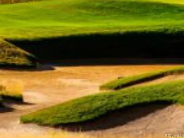 a view of an ocean from a yard