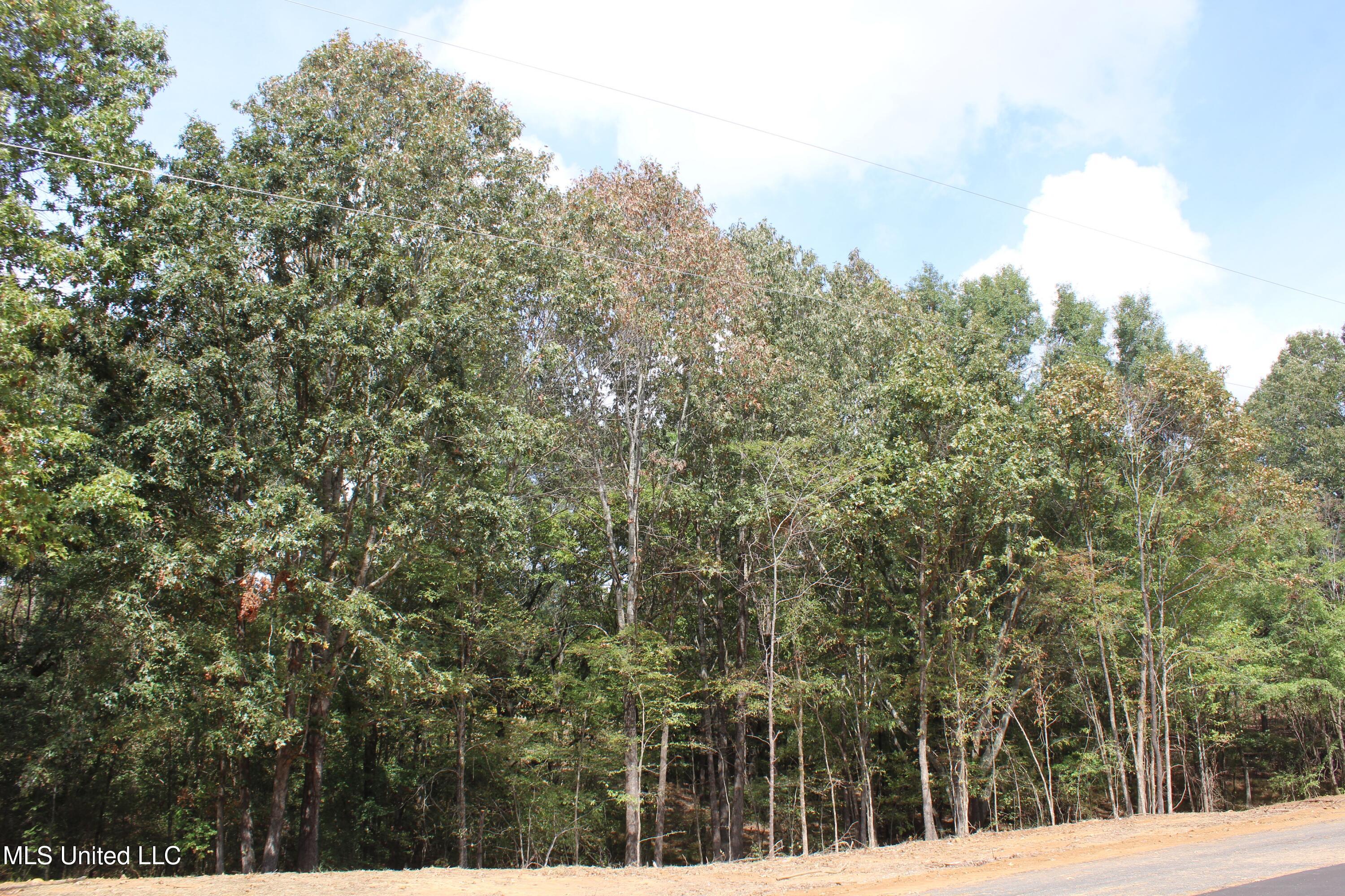 10 Hickory Hollow Road Coldwater, MS 38618 - Photo 20 of 70 IMG_6579