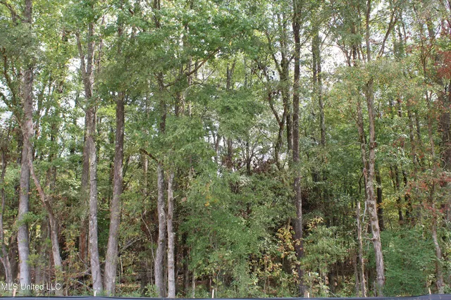 $110,000 | 10 Hickory Hollow Road, Coldwater, MS 38618