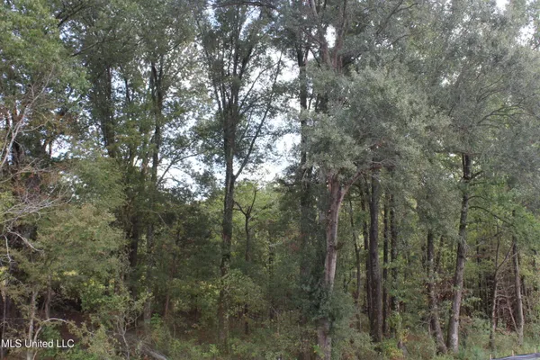 $110,000 | 10 Hickory Hollow Road, Coldwater, MS 38618