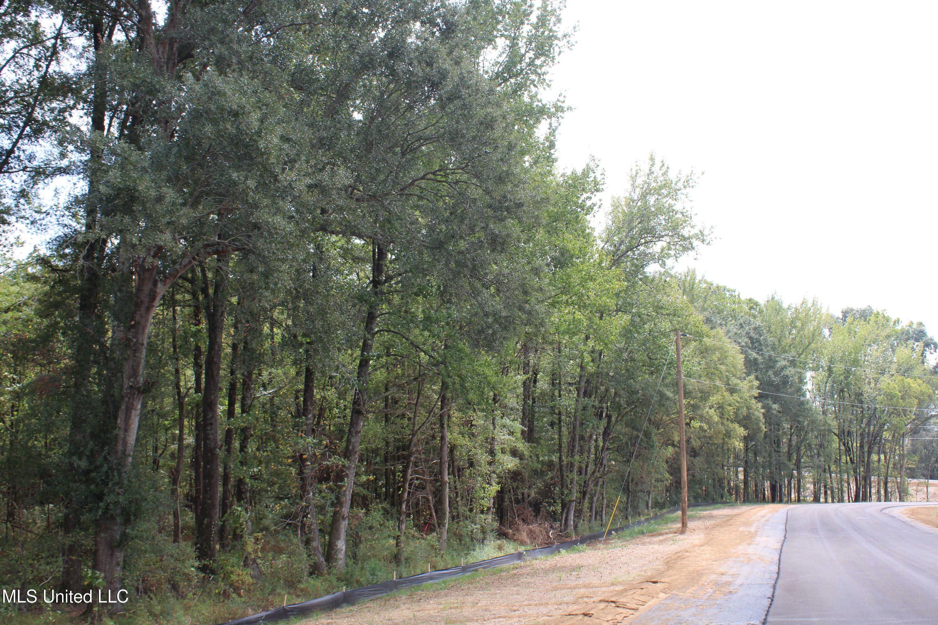 10 Hickory Hollow Road Coldwater, MS 38618 - Photo 39 of 70 IMG_6599