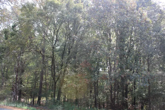 $110,000 | 10 Hickory Hollow Road, Coldwater, MS 38618