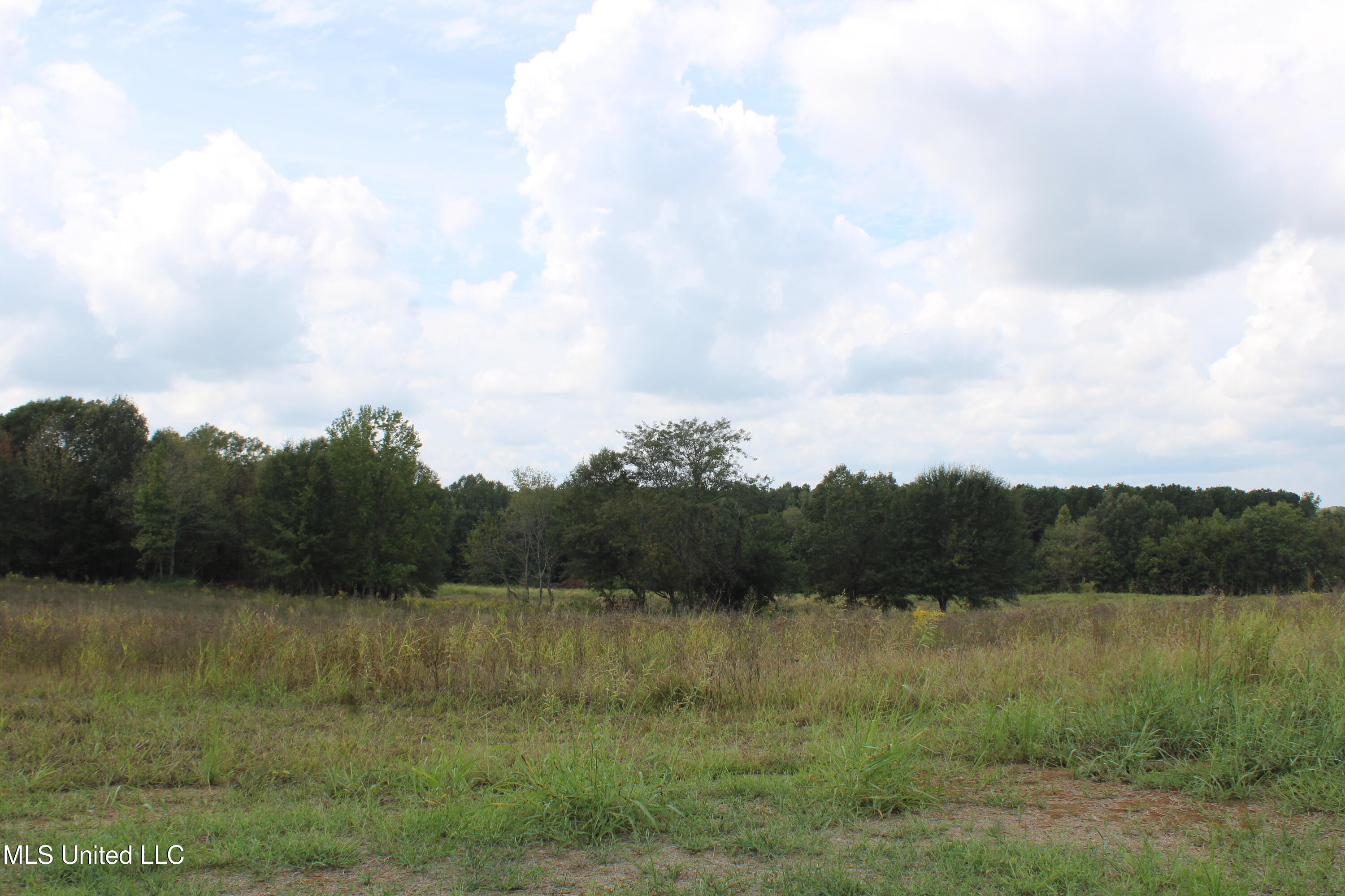 10 Hickory Hollow Road Coldwater, MS 38618 - Photo 51 of 70 IMG_6611