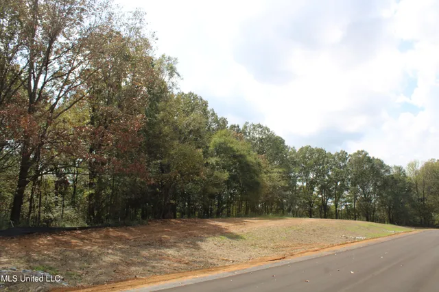 $110,000 | 10 Hickory Hollow Road, Coldwater, MS 38618