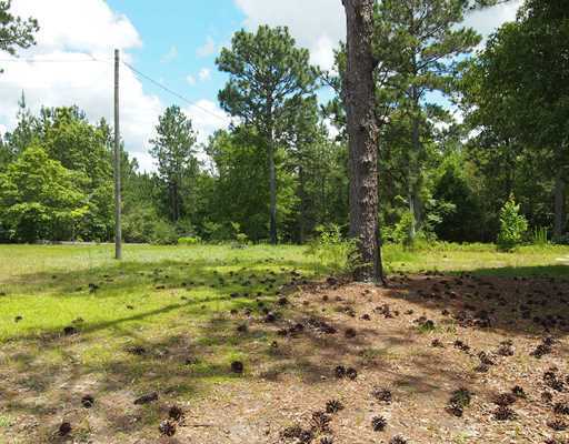 22 Joshua Road McHenry, MS 39561 - Photo 3 of 5 Additional Photo