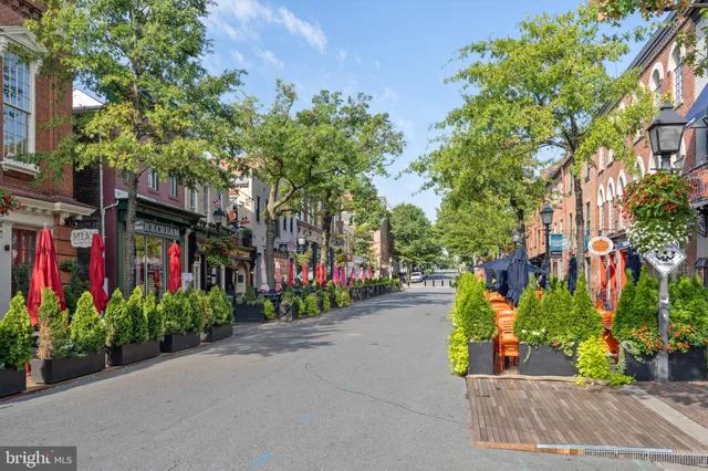 a view of street with flower plants