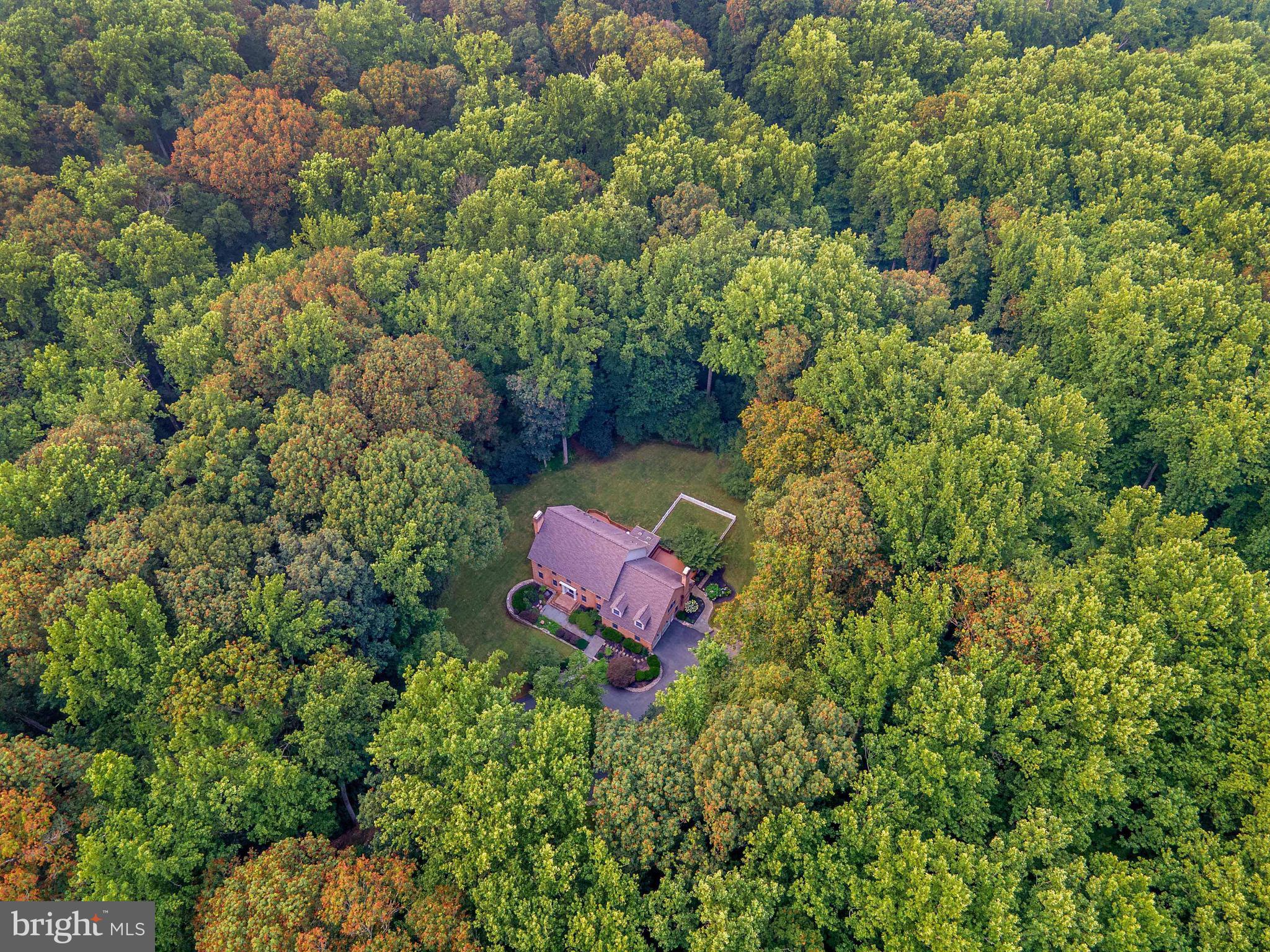 14419 Katie Road Phoenix, MD 21131 - Photo 13 of 56