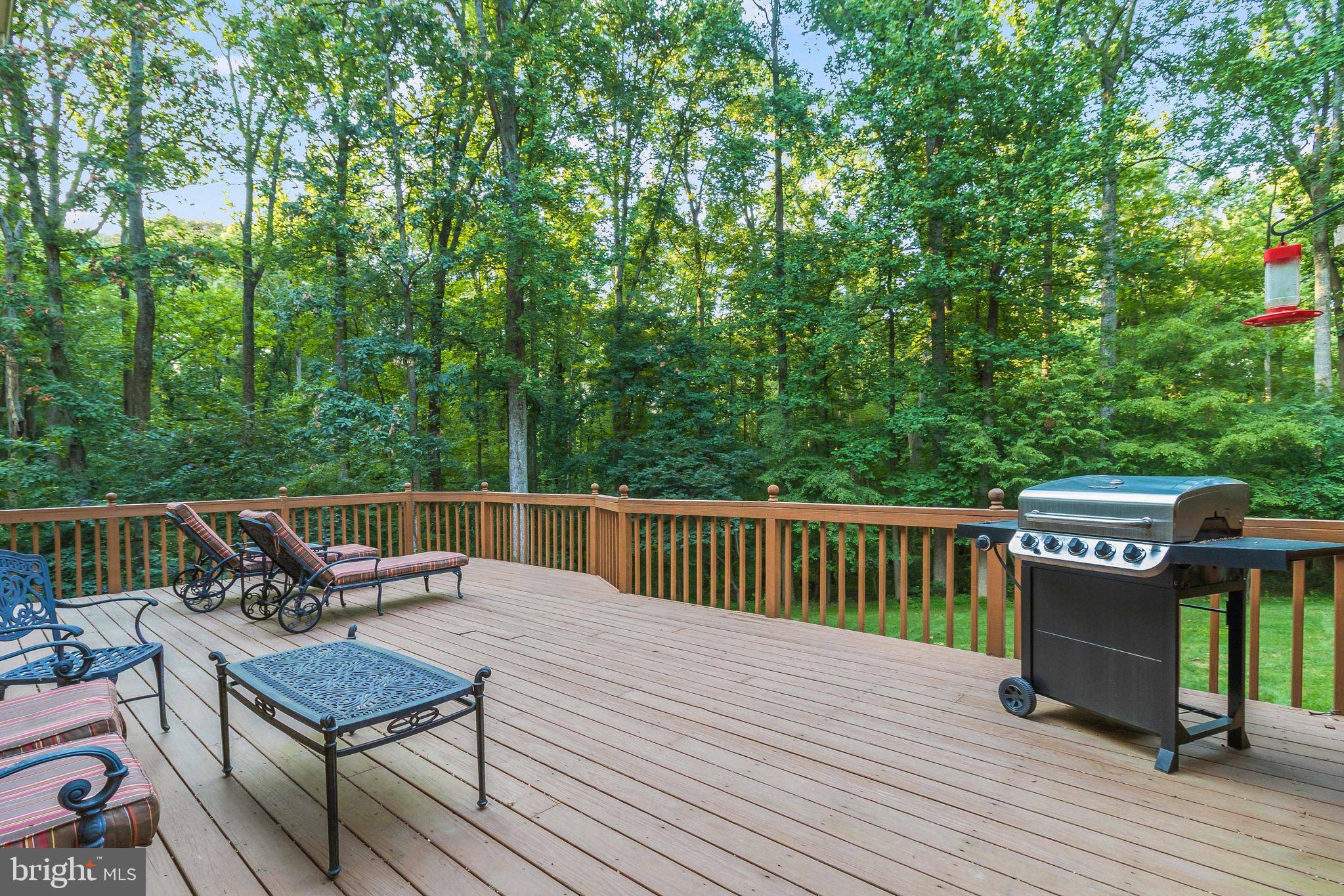14419 Katie Road Phoenix, MD 21131 - Photo 23 of 56