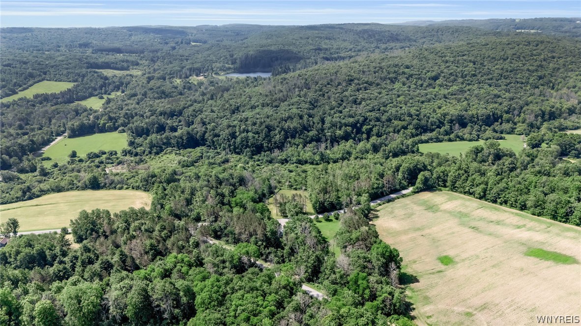 7749 Crabb Hollow Road New Hudson, NY 14717 - Photo 50 of 50