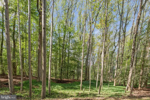 a view of outdoor space and garden