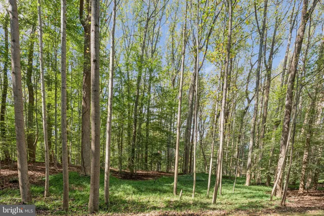 a view of outdoor space and garden