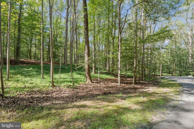 a view of a park with a house in the background