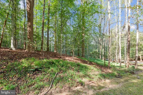 a view of outdoor space and garden