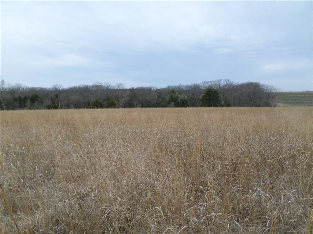 0 278th Road Soldier, KS 66540 - Photo 4 of 4