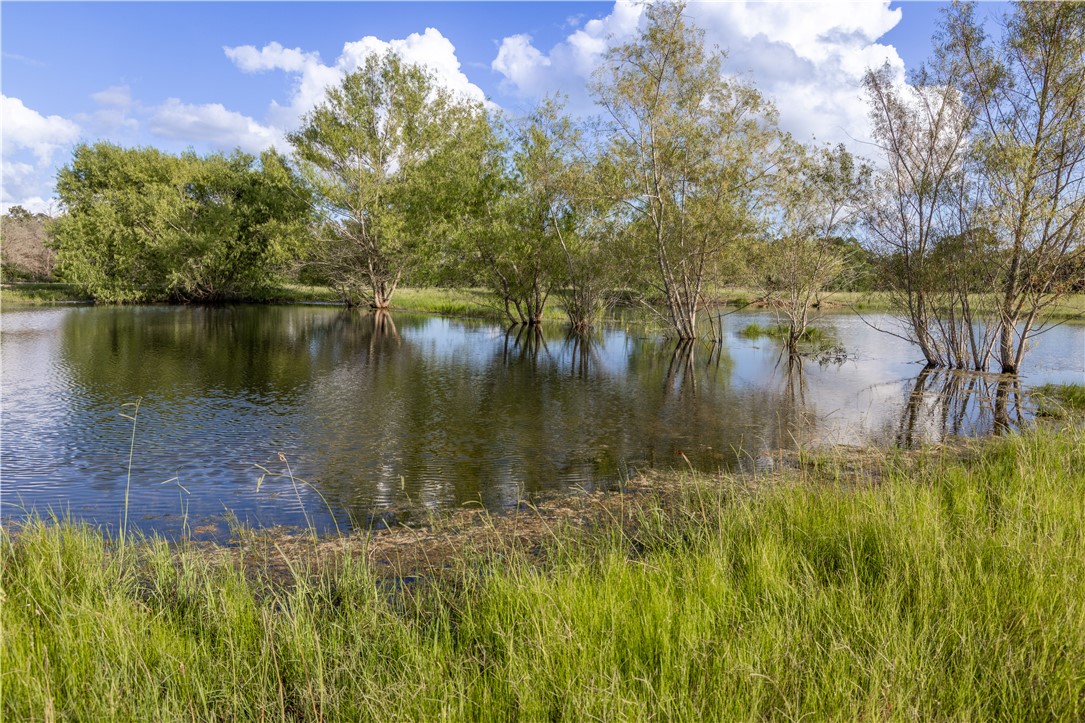 10102 Ferrill Creek Road Bryan, TX 77808 - Photo 16 of 29