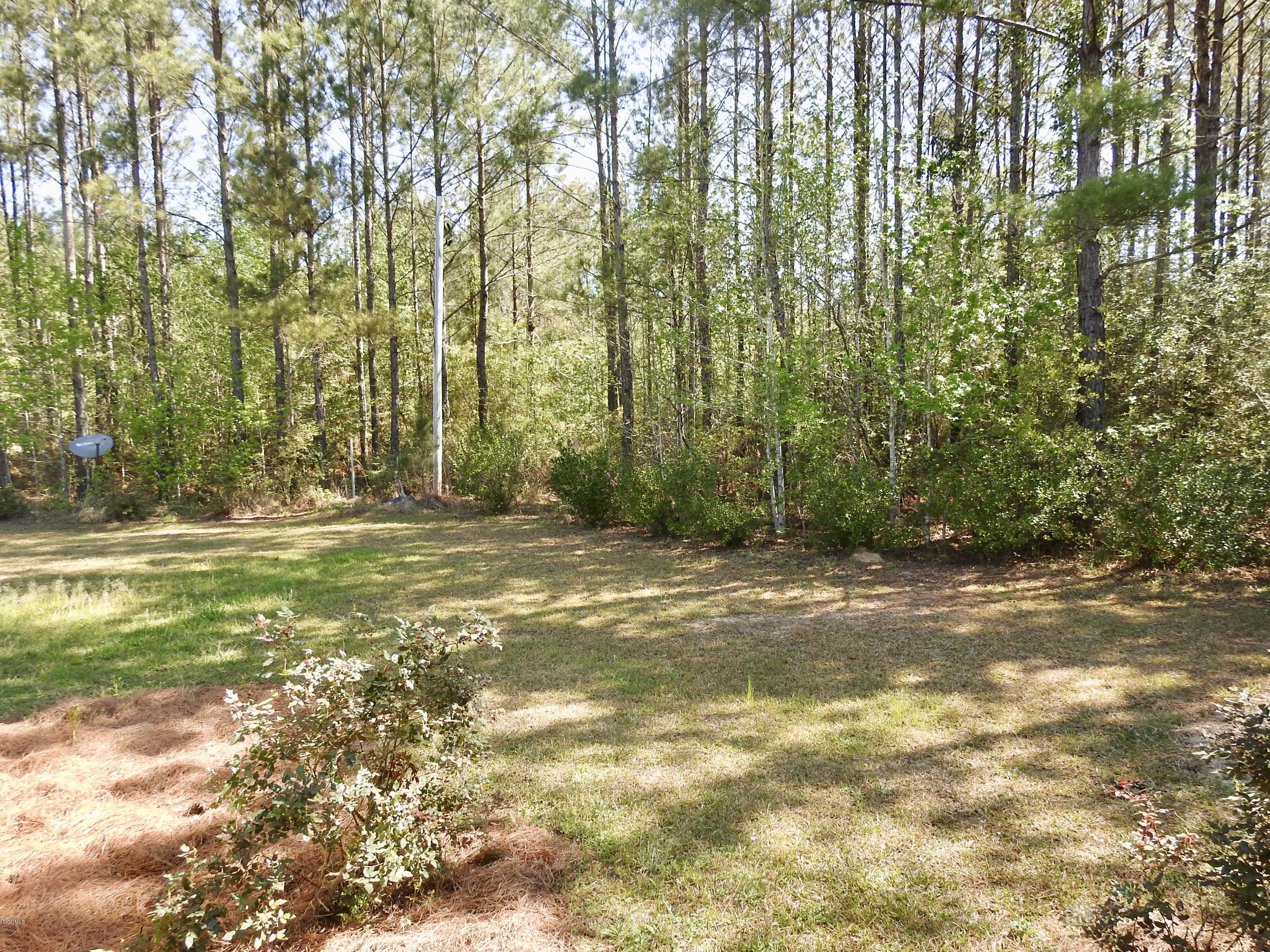 2145 Mt Pleasant Road Lucedale, MS 39452 - Photo 32 of 44 fullsizeoutput_25c1