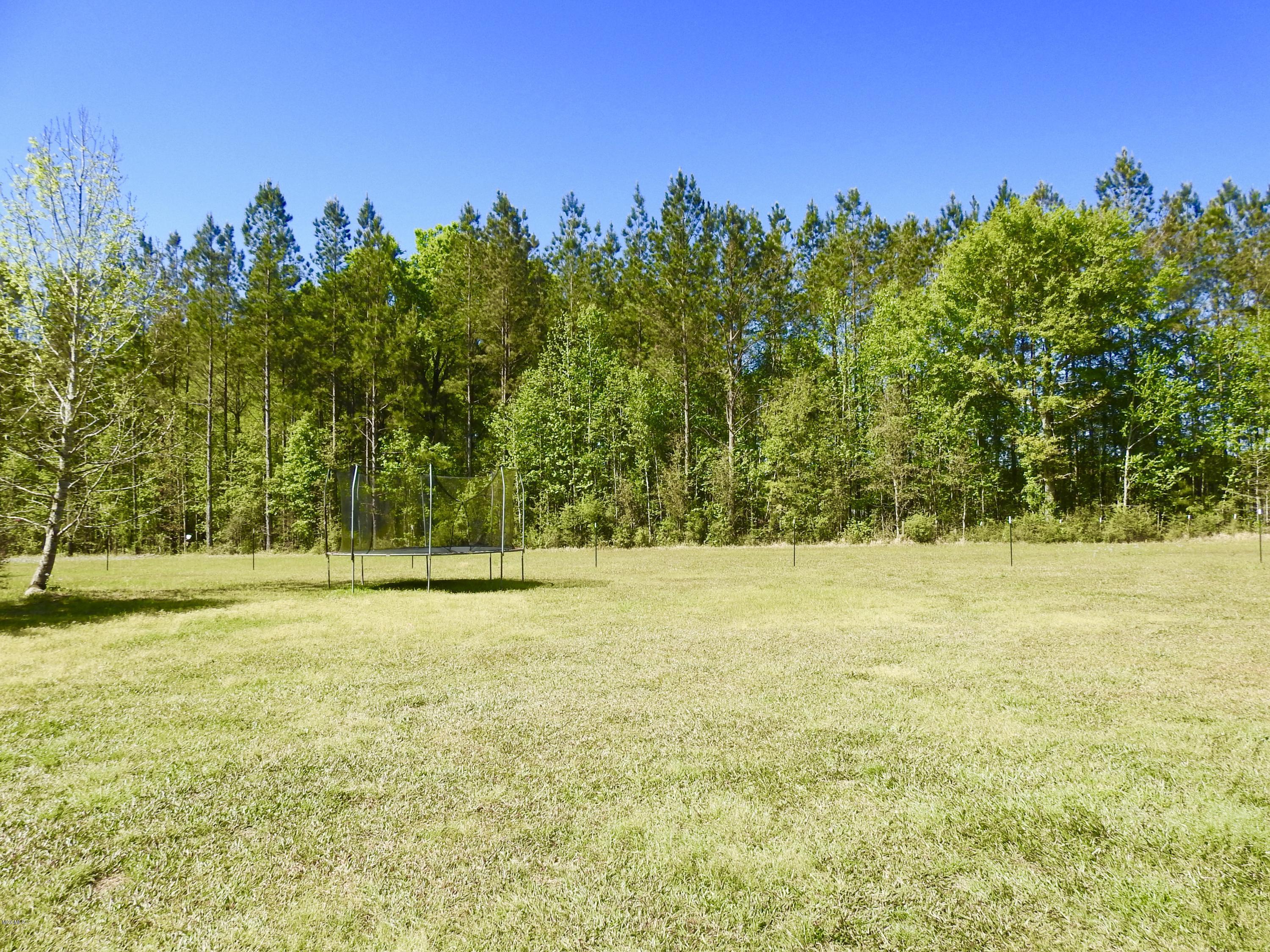 2145 Mt Pleasant Road Lucedale, MS 39452 - Photo 34 of 44 fullsizeoutput_25c4
