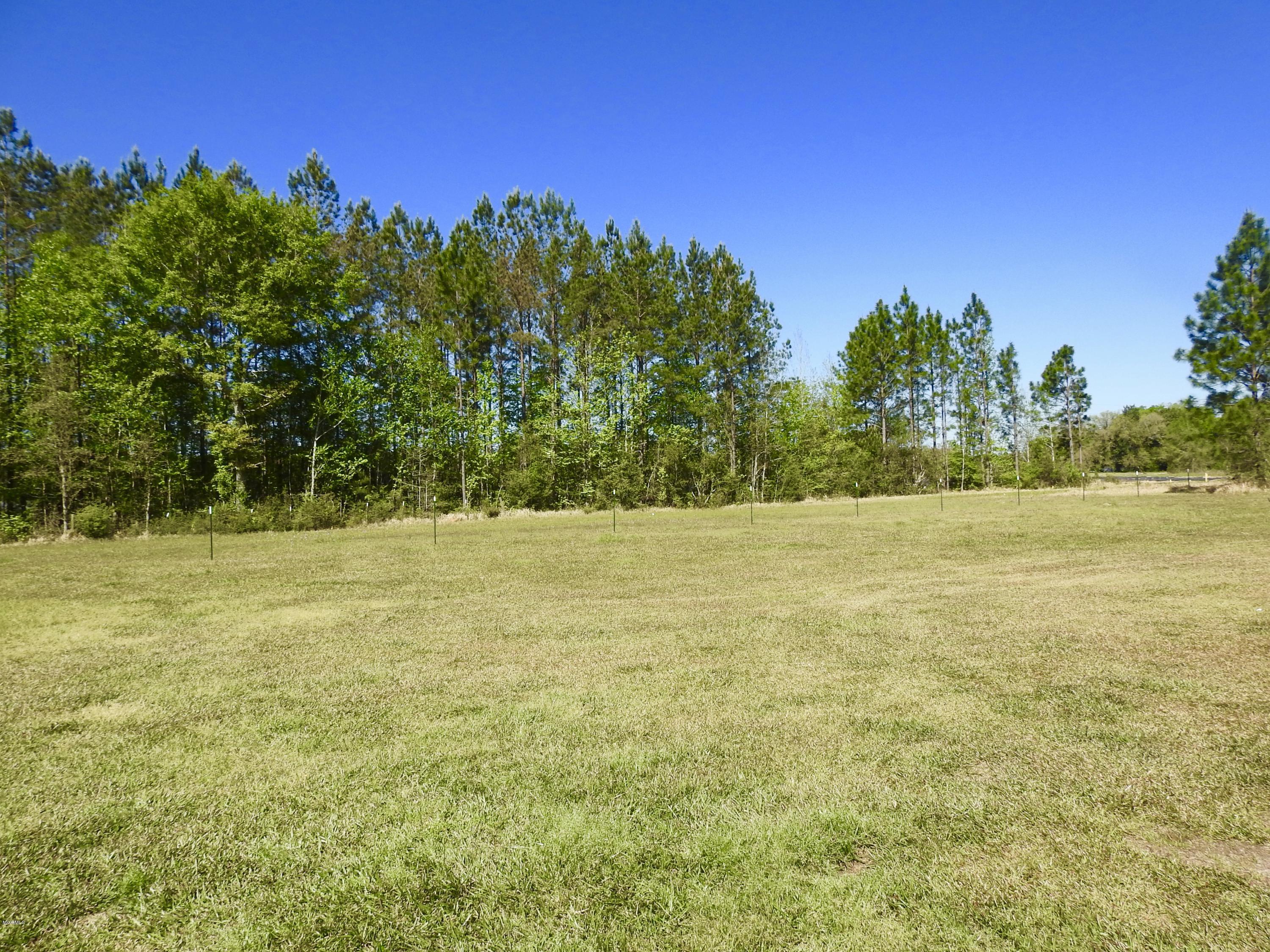 2145 Mt Pleasant Road Lucedale, MS 39452 - Photo 35 of 44 fullsizeoutput_25c5