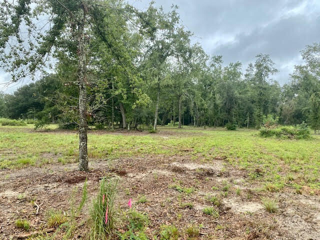Tbd Redds Branch Road Aiken, SC 29801 - Photo 7 of 23