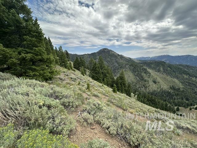 Carrie Creek Road Fairfield, ID 83327 - Photo 3 of 22 Gallery Image 3
