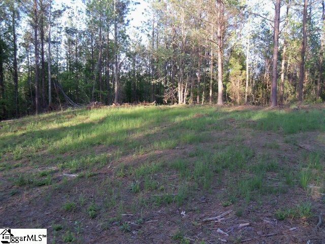 451 Slatton Shoals Road Pelzer, SC 29669 - Photo 2 of 13