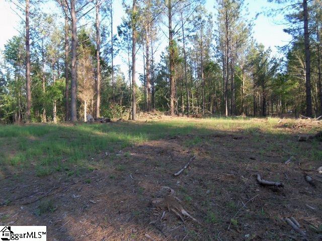 451 Slatton Shoals Road Pelzer, SC 29669 - Photo 3 of 13
