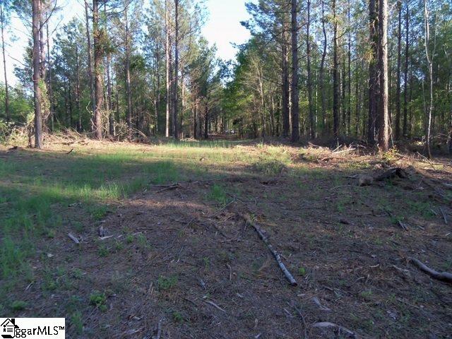 451 Slatton Shoals Road Pelzer, SC 29669 - Photo 4 of 13