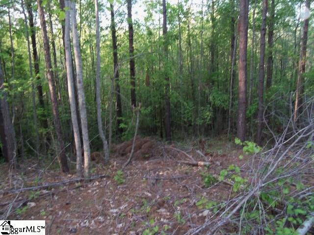451 Slatton Shoals Road Pelzer, SC 29669 - Photo 6 of 13