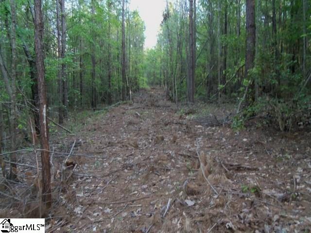 451 Slatton Shoals Road Pelzer, SC 29669 - Photo 7 of 13