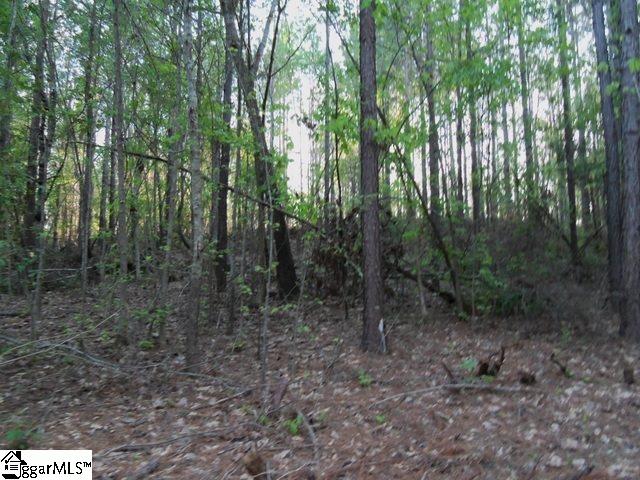 451 Slatton Shoals Road Pelzer, SC 29669 - Photo 8 of 13