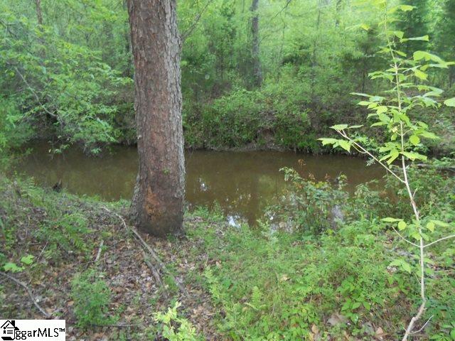 451 Slatton Shoals Road Pelzer, SC 29669 - Photo 10 of 13