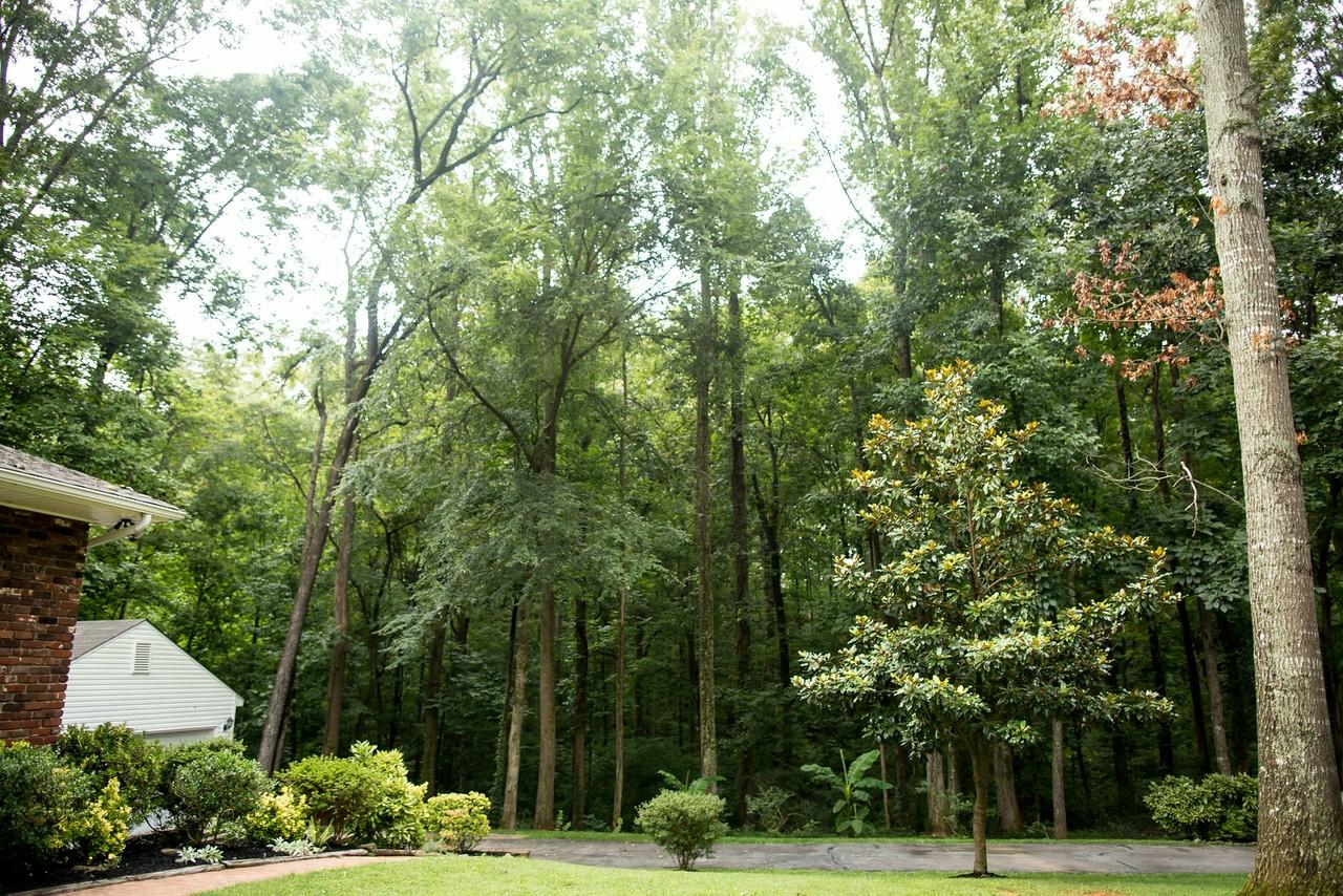 700 Summit View Road Knoxville, TN 37920 - Photo 22 of 24 Very Private
