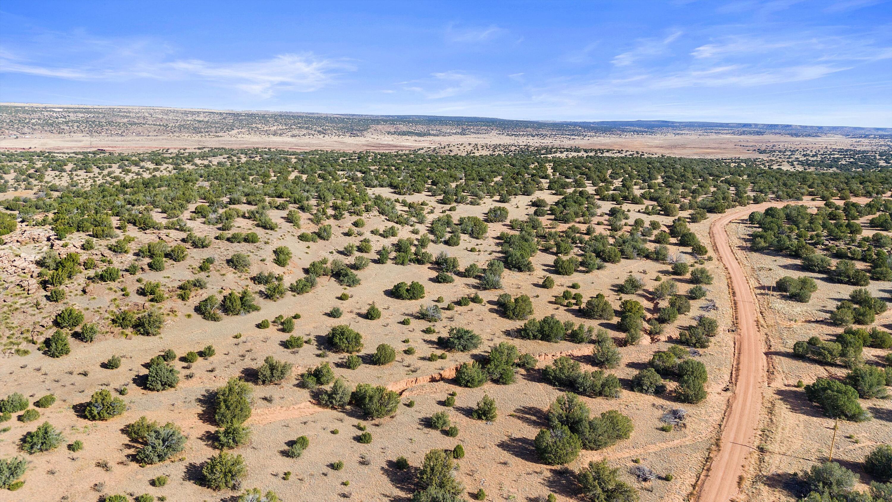 1779 Lost Saddle Loop Santa Rosa, NM 88435 - Photo 4 of 9 Gallery Image 4
