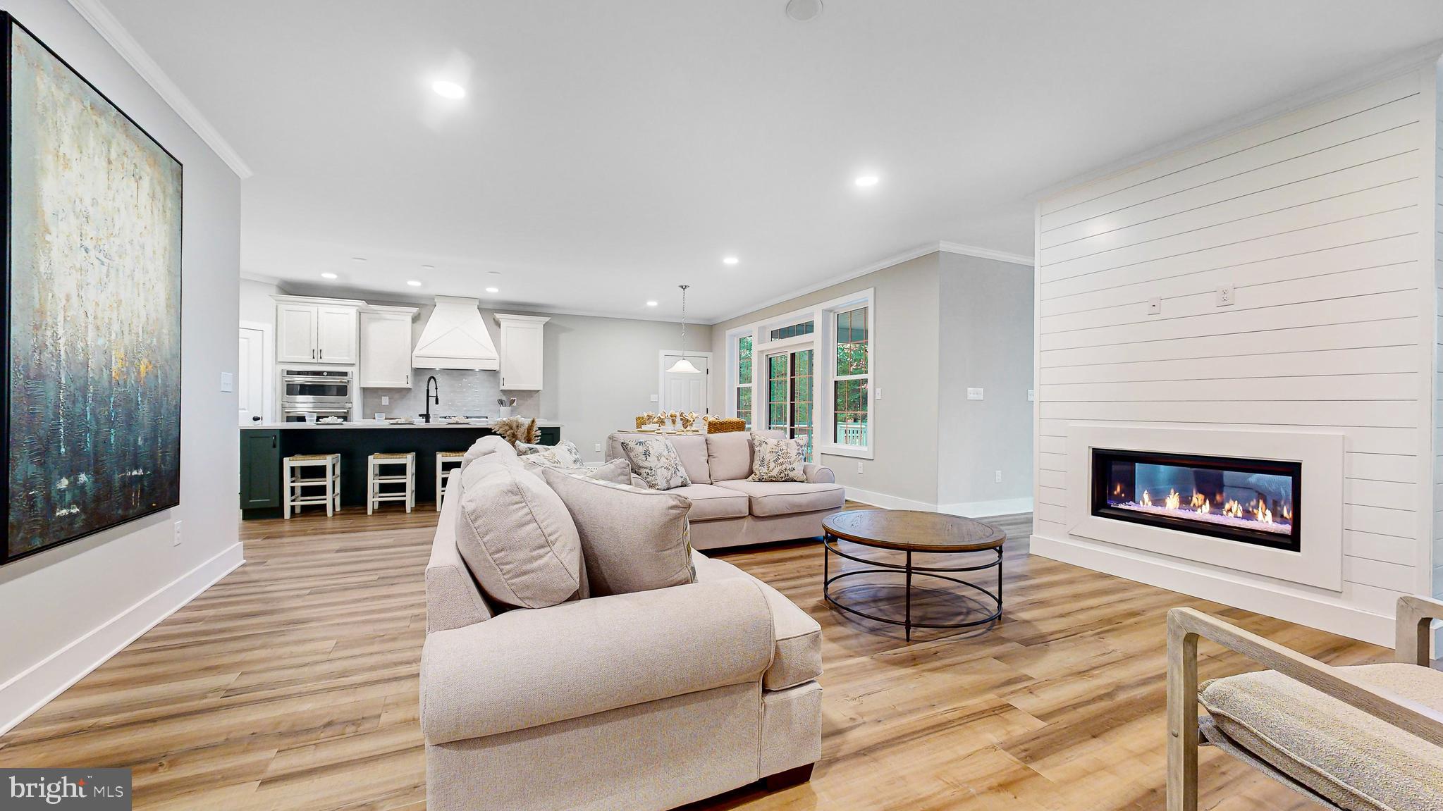 24558 Timber Branch Millsboro, DE 19966 - Photo 15 of 26 a living room with furniture and a fireplace