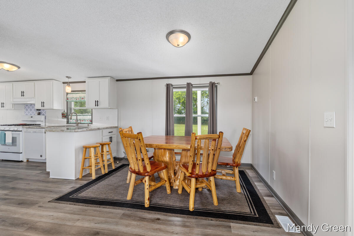 1007 Dildine Road Ionia, MI 48846 - Photo 11 of 37
