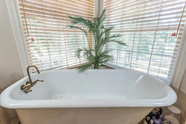 a close view of a sink a faucet and a potted plant