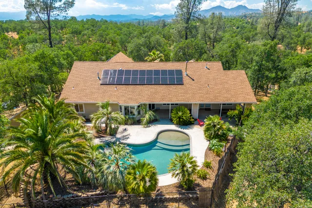a view of a house with a yard potted plants and large tree