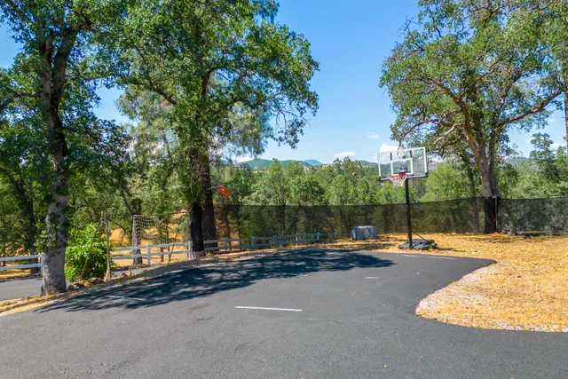 a street view with tall trees