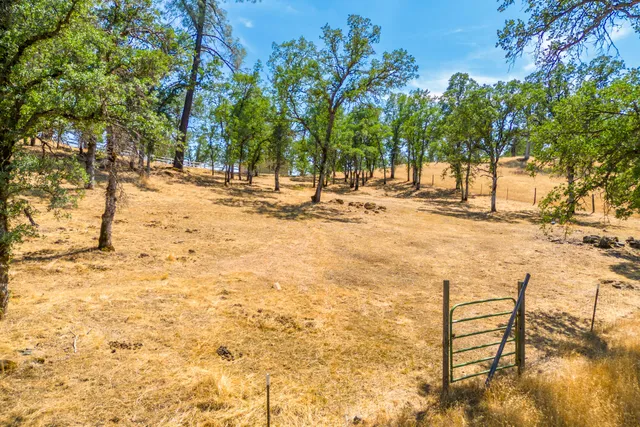 a view of yard with trees