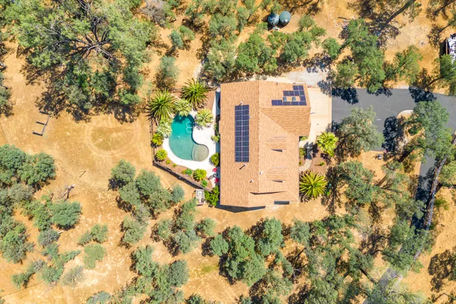 view of a yard with plants and large trees