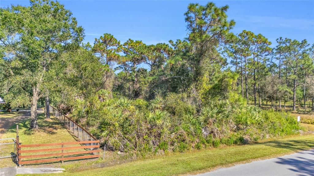 Quinlan Street Orlando, FL 32833 - Photo 2 of 40 a view of a yard