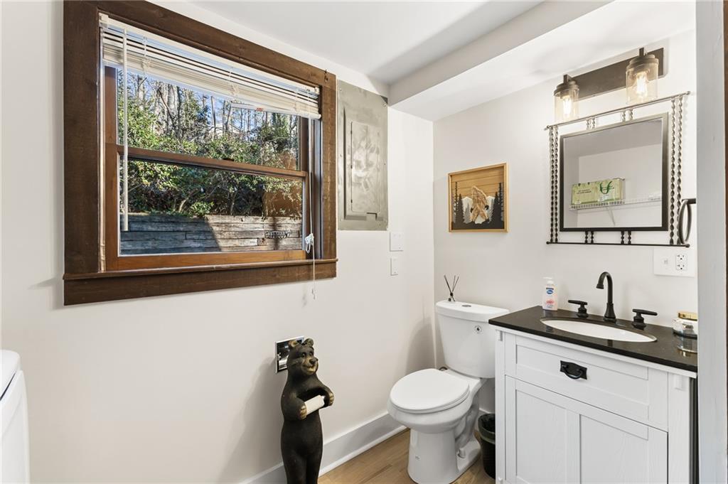40 Kaceys Lane Helen, GA 30545 - Photo 20 of 35 a bathroom with a toilet a sink and a mirror