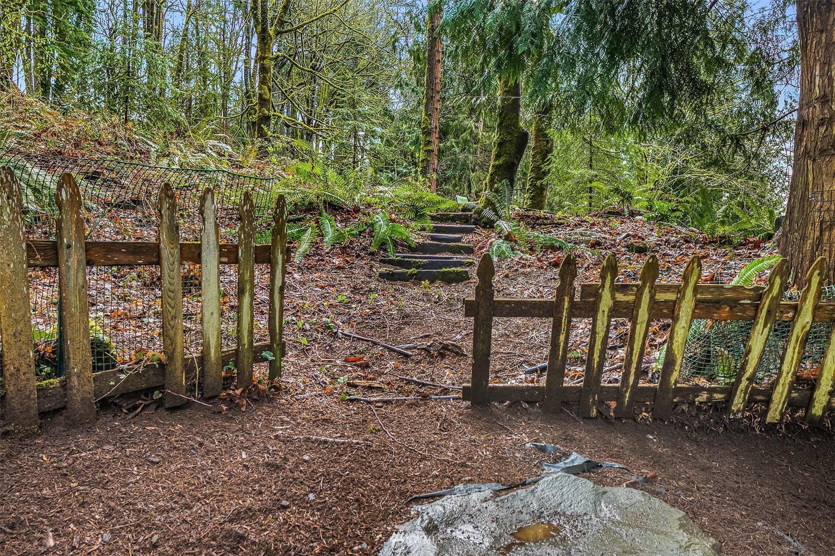 21832 Northeast 8th Street Sammamish, WA 98074 - Photo 35 of 40